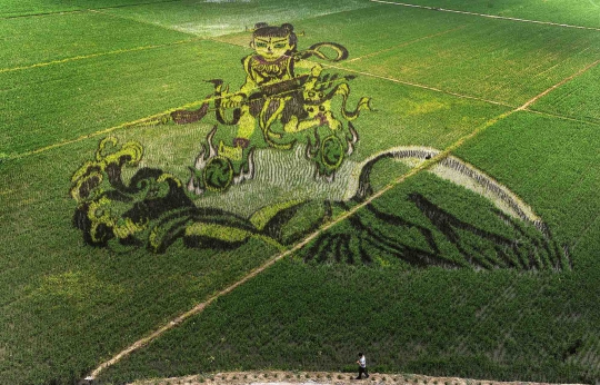Uniknya mural tanaman padi di China