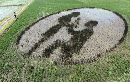 Uniknya mural tanaman padi di China