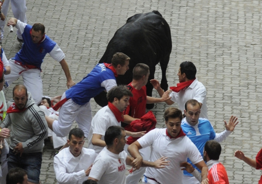 Festival San Fermin, seorang peserta tertusuk tanduk banteng