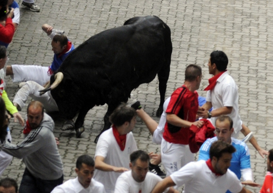 Festival San Fermin, seorang peserta tertusuk tanduk banteng