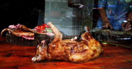 Mengintip pengolahan kuliner ekstrem daging kucing di Vietnam