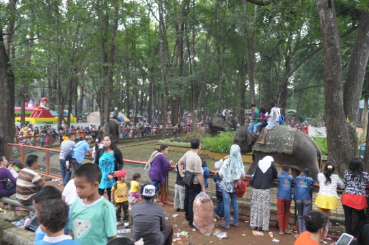 Antusiasme pengunjung Ragunan saat beri makan gajah Sumatera