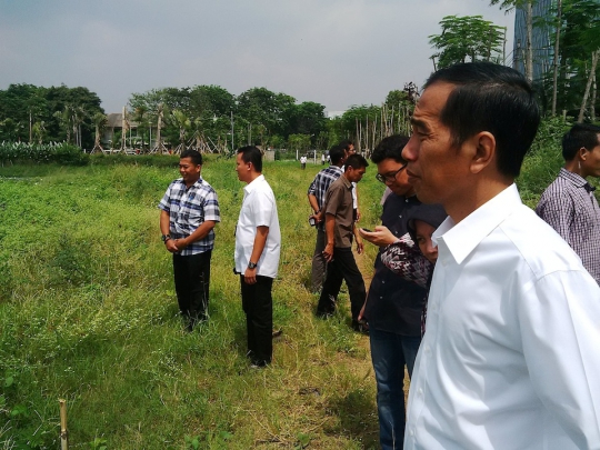 Blusukan ke Waduk Ria Rio, Jokowi kagumi tanaman tumbuh subur