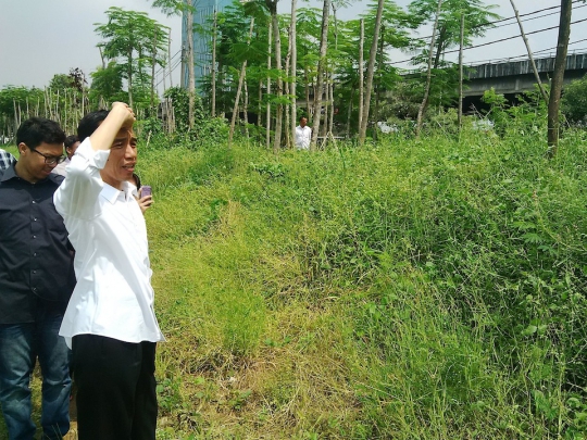 Blusukan ke Waduk Ria Rio, Jokowi kagumi tanaman tumbuh subur