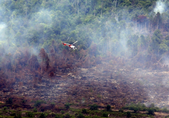 Parahnya kebakaran hutan dan lahan di Riau