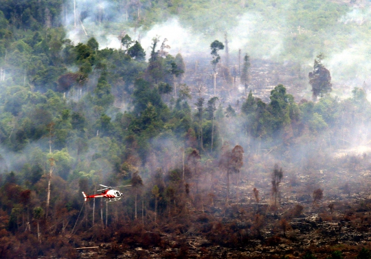 Parahnya kebakaran hutan dan lahan di Riau