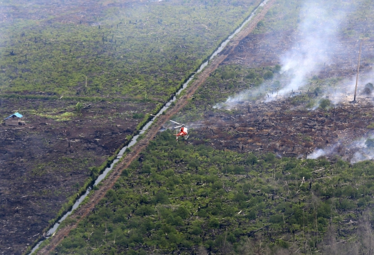 Parahnya kebakaran hutan dan lahan di Riau