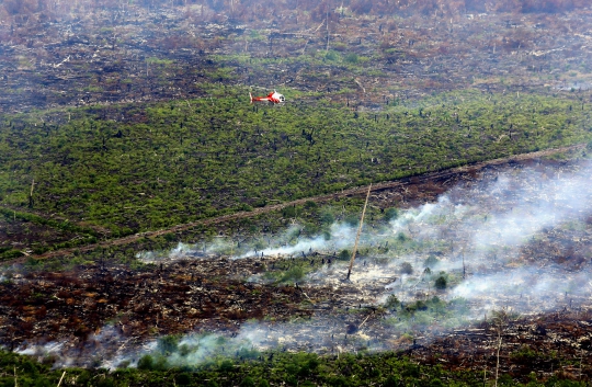 Parahnya kebakaran hutan dan lahan di Riau