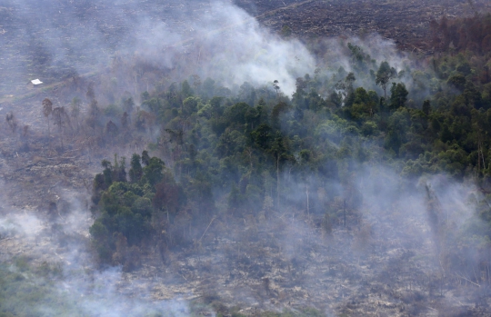 Parahnya kebakaran hutan dan lahan di Riau