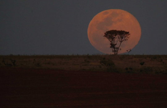 Indahnya fenomena Supermoon dilihat dari berbagai belahan dunia