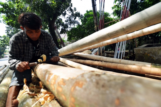 Berburu pohon pinang jelang perayaan HUT Kemerdekaan RI