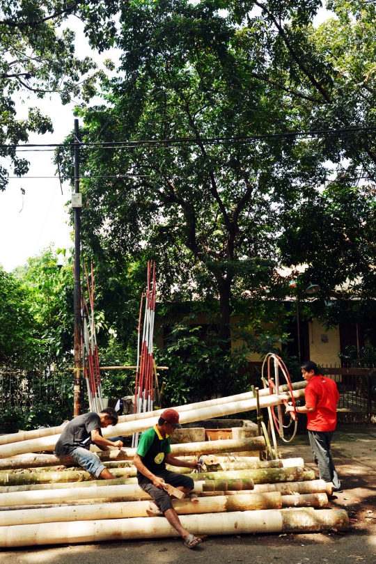 Berburu pohon pinang jelang perayaan HUT Kemerdekaan RI