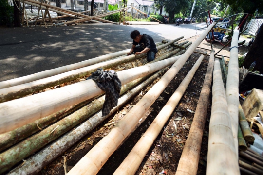 Berburu pohon pinang jelang perayaan HUT Kemerdekaan RI