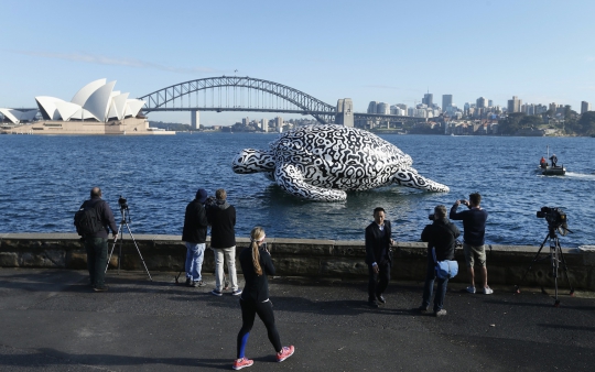 'Penyu raksasa' ini hebohkan warga Sydney