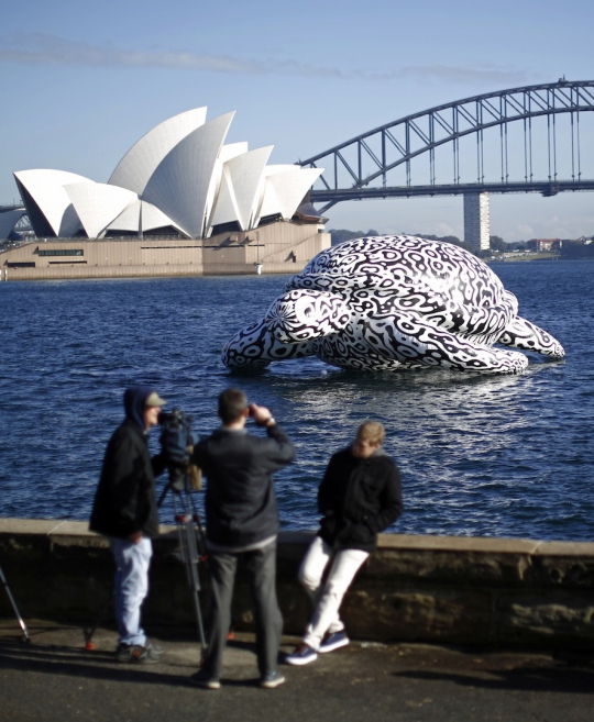 'Penyu raksasa' ini hebohkan warga Sydney