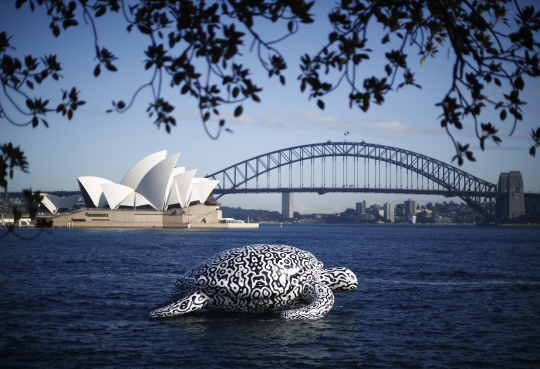 'Penyu raksasa' ini hebohkan warga Sydney