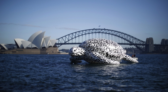 'Penyu raksasa' ini hebohkan warga Sydney