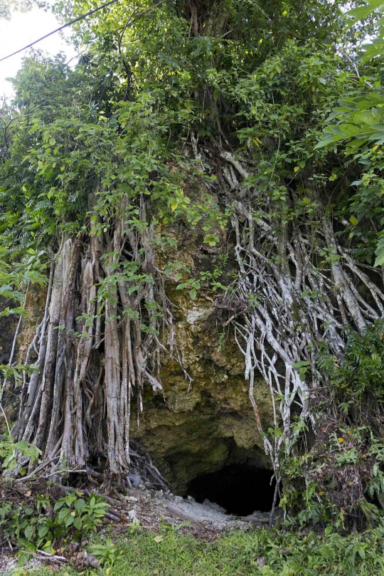 Menelusuri jejak perang dunia II di Pulau Peleliu