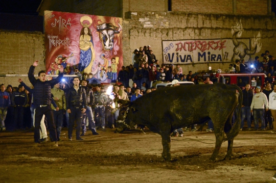 Keekstreman tanduk api di Festival El Novillo de Bombas