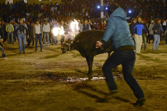 Keekstreman tanduk api di Festival El Novillo de Bombas