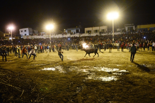 Keekstreman tanduk api di Festival El Novillo de Bombas