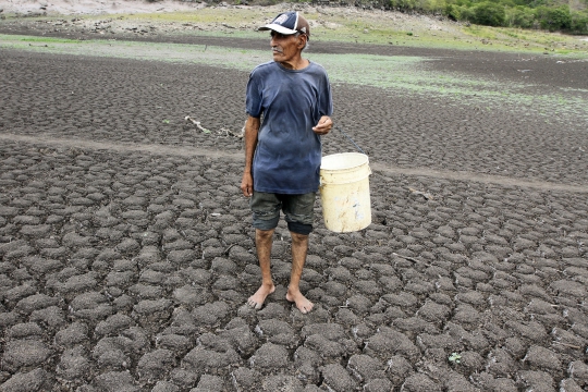 Pengaruh El Nino, Amerika Tengah dilanda kekeringan ekstrem