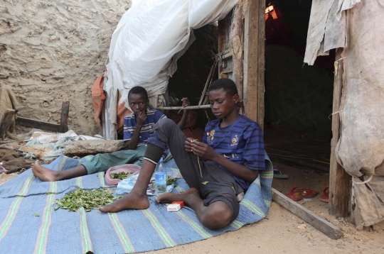 Khat, 'bunga surga' di Somalia