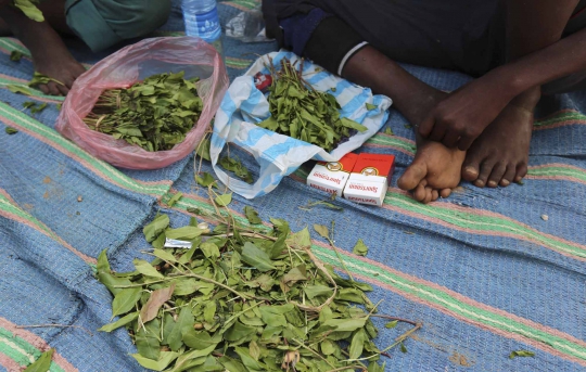 Khat, 'bunga surga' di Somalia