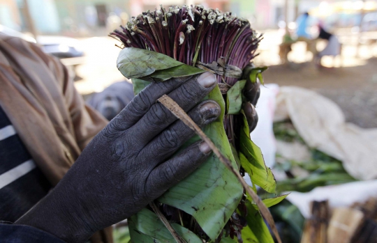 Khat, 'bunga surga' di Somalia