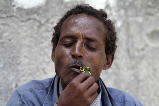 Khat, 'bunga surga' di Somalia