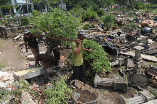 Puluhan lapak tanaman hias di Penjaringan dibongkar Satpol PP