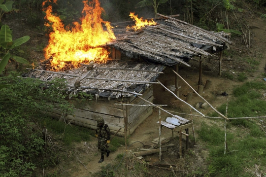 Menyaksikan penghancuran ladang koka di Kolombia