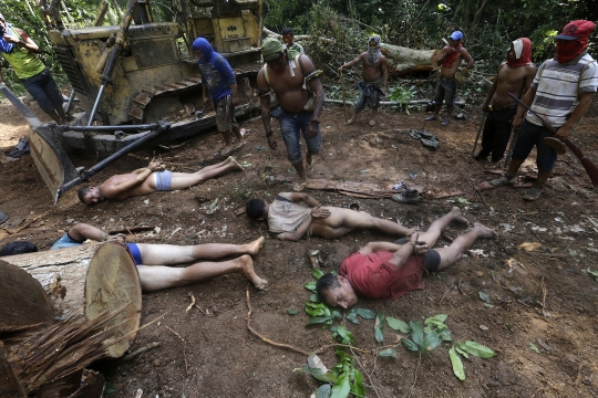 Aksi para pemburu pelaku penebang hutan liar di Amazon