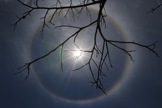 Indahnya fenomena matahari bercincin hiasi langit Brasil