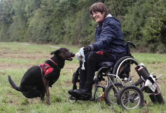 Kisah keakraban anjing dan majikan sama-sama cacat kaki