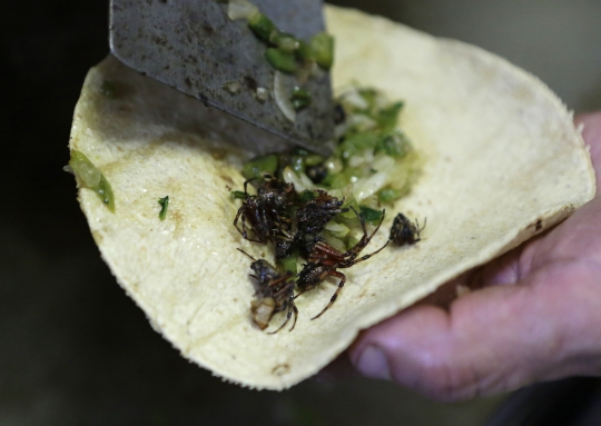 Mencicipi kuliner ekstrem 'kebab ala Meksiko'