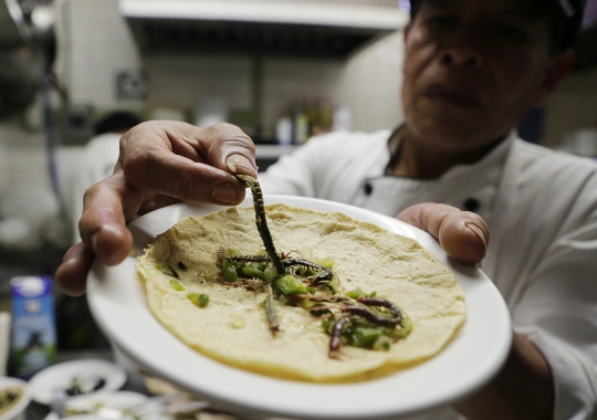 Mencicipi kuliner ekstrem 'kebab ala Meksiko'