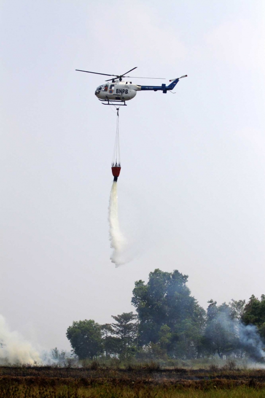 Aksi bom air BNPB padamkan kebakaran hutan di Ogan Ilir