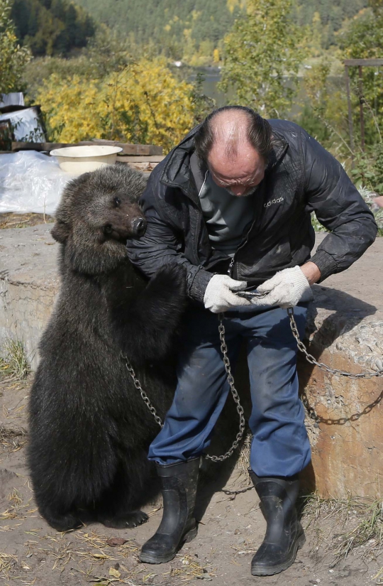 Kisah pria tunawisma di Siberia hidup bersama beruang