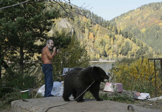 Kisah pria tunawisma di Siberia hidup bersama beruang