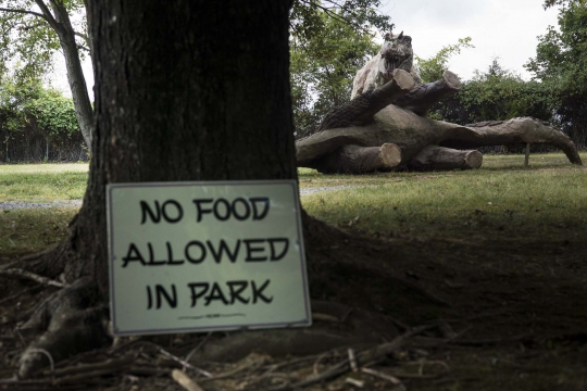 Mengunjungi Pulau Dinosaurus di Virginia