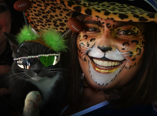 Gaya selebriti kucing di Festival Film Feline Los Angeles
