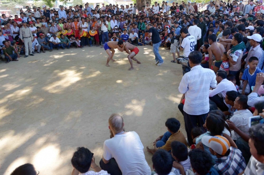 Serunya pertandingan balap kerbau dalam Festival Pchum Ben