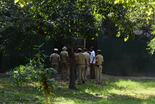 Kisah tragis pelajar India tewas diterkam harimau putih