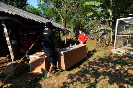 BKHI lepaskan 8 kera hasil razia topeng monyet ke Hutan Cikepuh