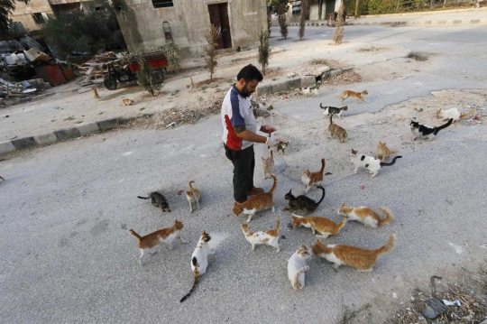 Di tengah peperangan, pria Suriah ini rela rawat 150 kucing liar