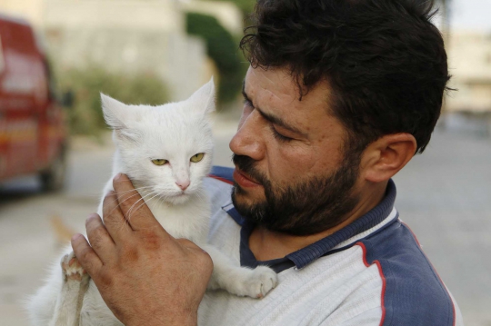 Di tengah peperangan, pria Suriah ini rela rawat 150 kucing liar