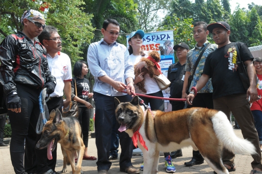 Ahok hadiri peringatan Hari Rabies se-Dunia di Taman Langsat