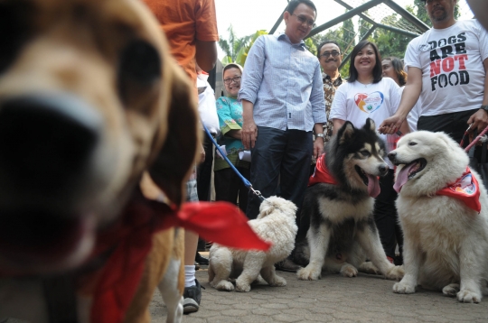 Ahok hadiri peringatan Hari Rabies se-Dunia di Taman Langsat