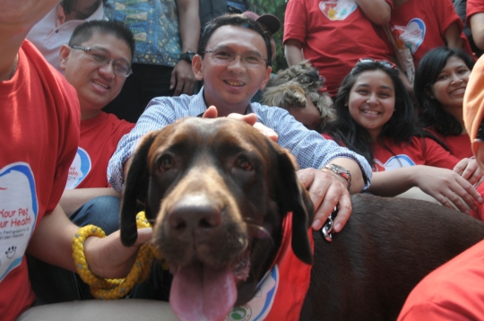 Ahok hadiri peringatan Hari Rabies se-Dunia di Taman Langsat